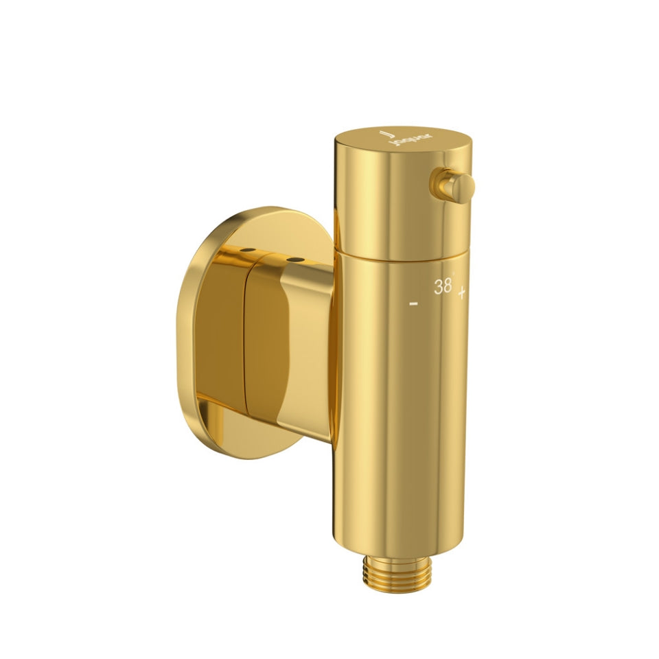 EXPOSED PART KIT OF CONCEALED THERMOSTATIC VALVE FOR HEALTH FAUCET - JAQUAR FAUCETS - ( GOLD BRIGHT PVD - ALLIED - 0x15 mm - 0inchX0.5inch )