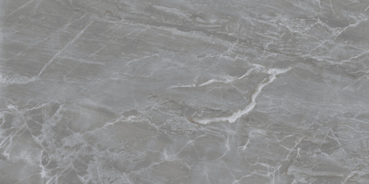 1211 GLOSSY - SIMPOLO-TILES -  (  - PROZZO-GLOSSY - 1200x600 mm - 48inchX24inch )