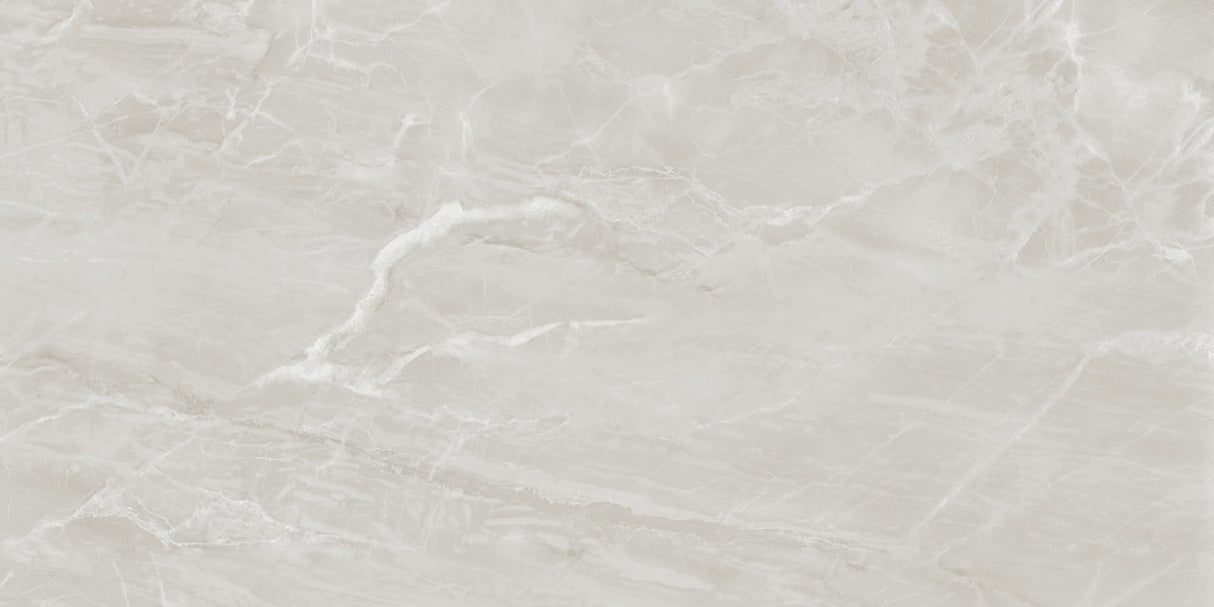 1212 GLOSSY - SIMPOLO-TILES -  (  - PROZZO-GLOSSY - 1200x600 mm - 48inchX24inch )