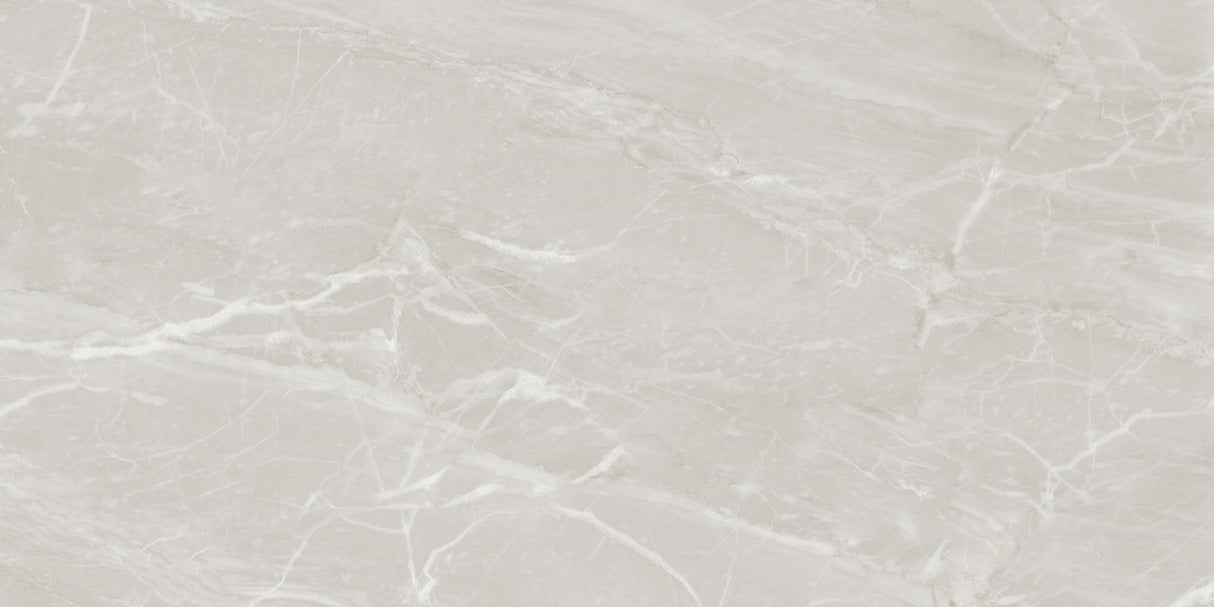 1212 GLOSSY - SIMPOLO-TILES -  (  - PROZZO-GLOSSY - 1200x600 mm - 48inchX24inch )