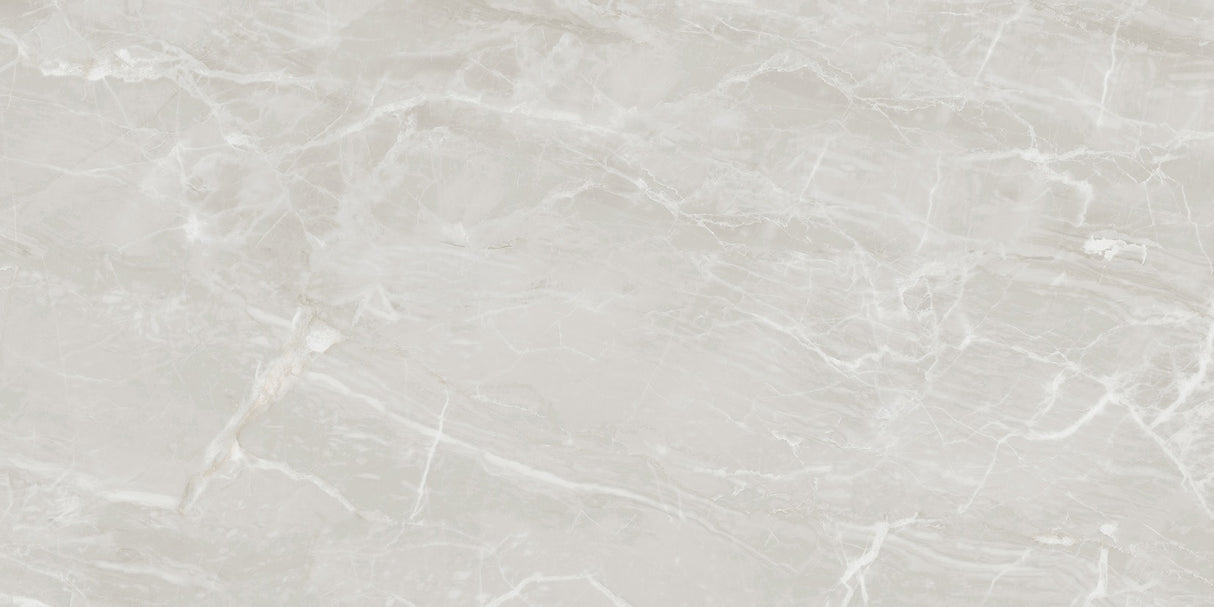 1212 GLOSSY - SIMPOLO-TILES -  (  - PROZZO-GLOSSY - 1200x600 mm - 48inchX24inch )