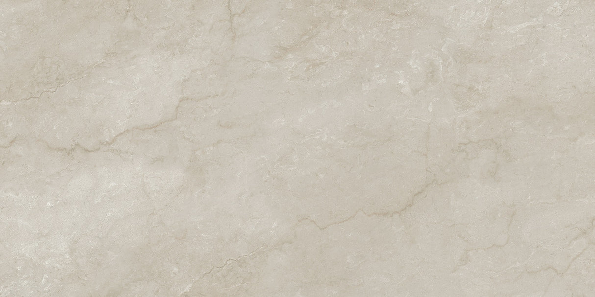 1216 GLOSSY - SIMPOLO-TILES -  (  - PROZZO-GLOSSY - 1200x600 mm - 48inchX24inch )