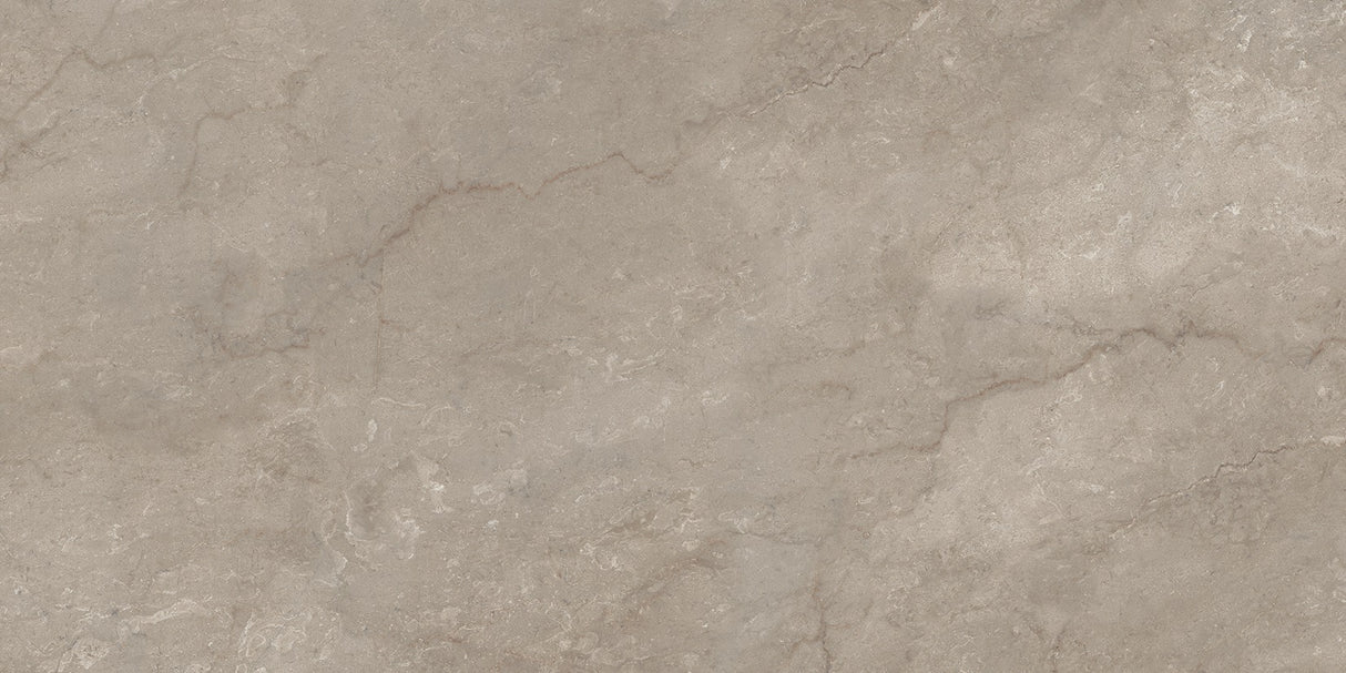 1217 GLOSSY - SIMPOLO-TILES -  (  - PROZZO-GLOSSY - 1200x600 mm - 48inchX24inch )