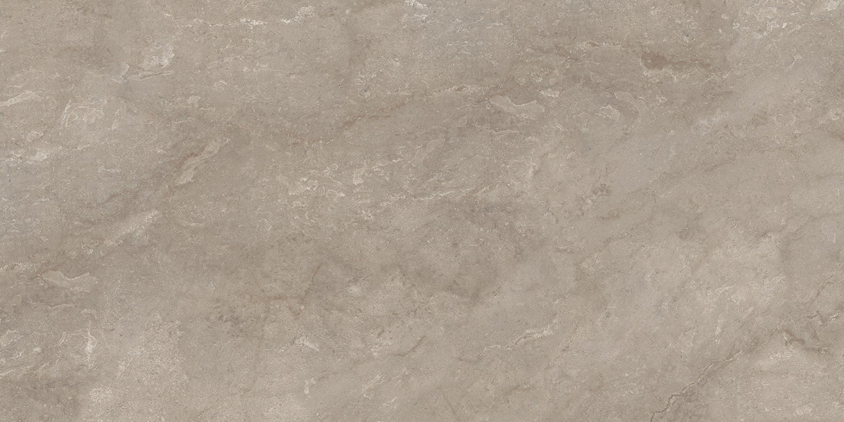 1217 GLOSSY - SIMPOLO-TILES -  (  - PROZZO-GLOSSY - 1200x600 mm - 48inchX24inch )
