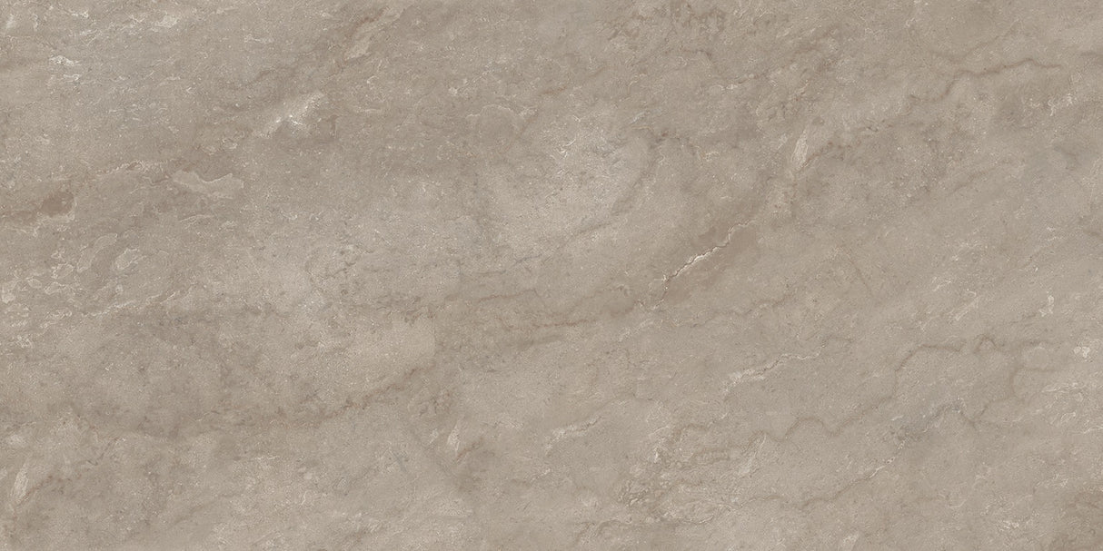 1217 GLOSSY - SIMPOLO-TILES -  (  - PROZZO-GLOSSY - 1200x600 mm - 48inchX24inch )