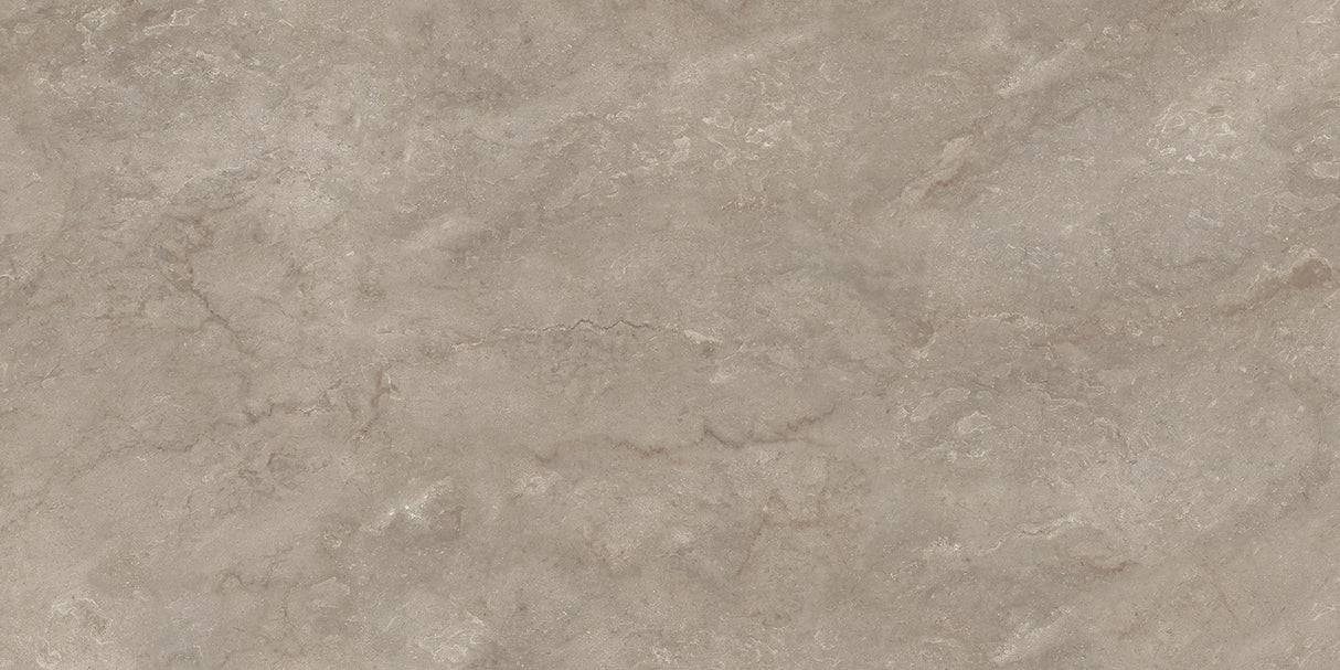 1217 GLOSSY - SIMPOLO-TILES -  (  - PROZZO-GLOSSY - 1200x600 mm - 48inchX24inch )