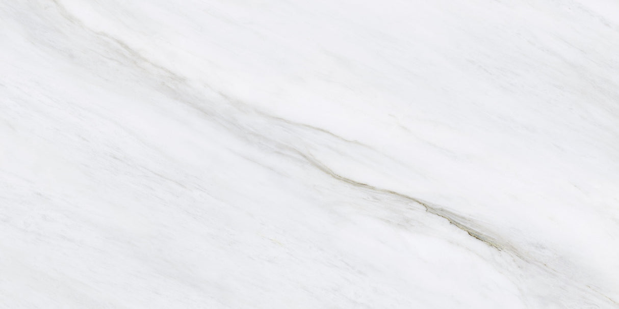 1219 GLOSSY - SIMPOLO-TILES -  (  - PROZZO-GLOSSY - 1200x600 mm - 48inchX24inch )