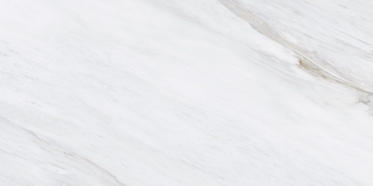 1219 GLOSSY - SIMPOLO-TILES -  (  - PROZZO-GLOSSY - 1200x600 mm - 48inchX24inch )