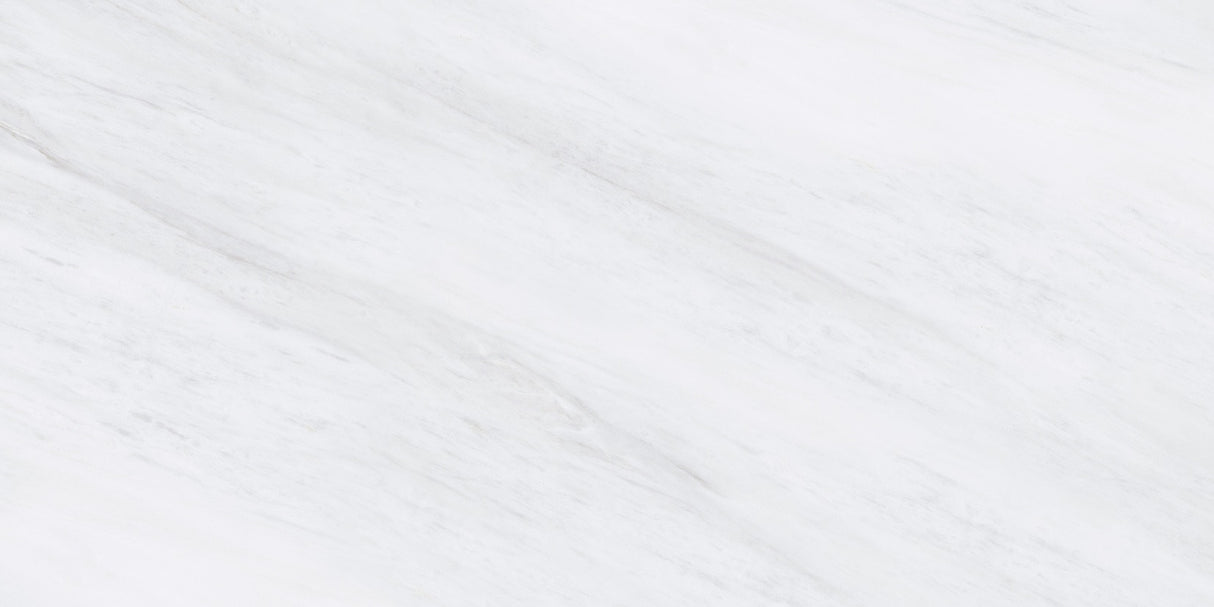 1219 GLOSSY - SIMPOLO-TILES -  (  - PROZZO-GLOSSY - 1200x600 mm - 48inchX24inch )