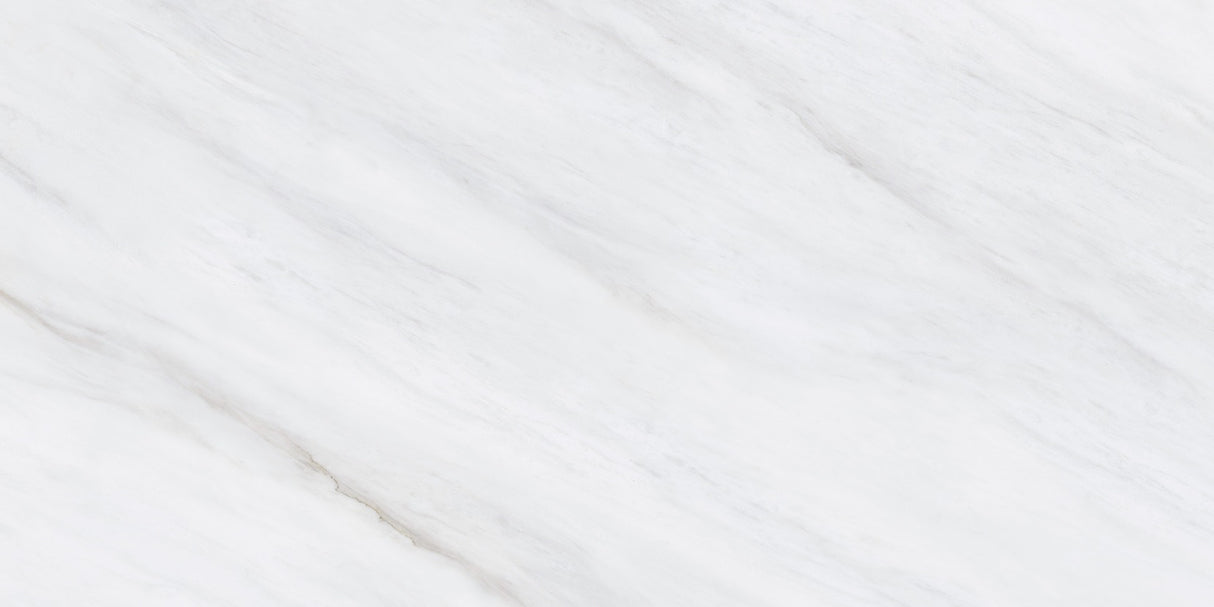 1219 GLOSSY - SIMPOLO-TILES -  (  - PROZZO-GLOSSY - 1200x600 mm - 48inchX24inch )