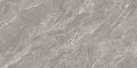 1225 GLOSSY - SIMPOLO-TILES -  (  - PROZZO-GLOSSY - 1200x600 mm - 48inchX24inch )