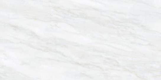 1228 GLOSSY - SIMPOLO-TILES -  (  - PROZZO-GLOSSY - 1200x600 mm - 48inchX24inch )