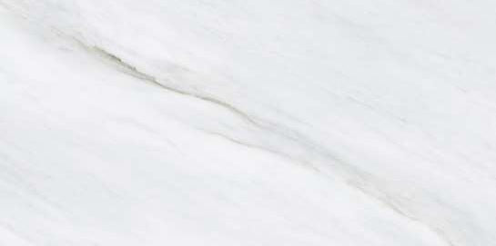 1229 GLOSSY - SIMPOLO-TILES -  (  - PROZZO-GLOSSY - 1200x600 mm - 48inchX24inch )