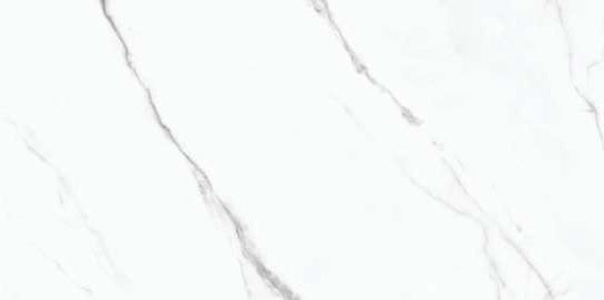 1230 GLOSSY - SIMPOLO-TILES -  (  - PROZZO-GLOSSY - 1200x600 mm - 48inchX24inch )