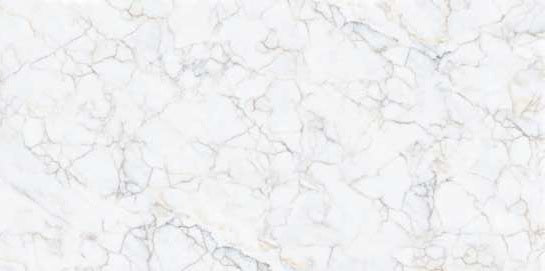 1231 GLOSSY - SIMPOLO-TILES -  (  - PROZZO-GLOSSY - 1200x600 mm - 48inchX24inch )