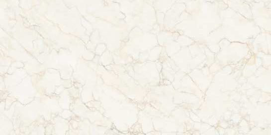 1232 GLOSSY - SIMPOLO-TILES -  (  - PROZZO-GLOSSY - 1200x600 mm - 48inchX24inch )