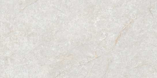 1233 GLOSSY - SIMPOLO-TILES - ( - PROZZO GLOSSY - 1200x600 mm - 48inchX24inch)