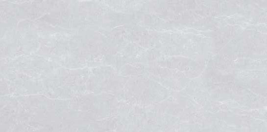 1237 GLOSSY - SIMPOLO-TILES -  (  - PROZZO-GLOSSY - 1200x600 mm - 48inchX24inch )