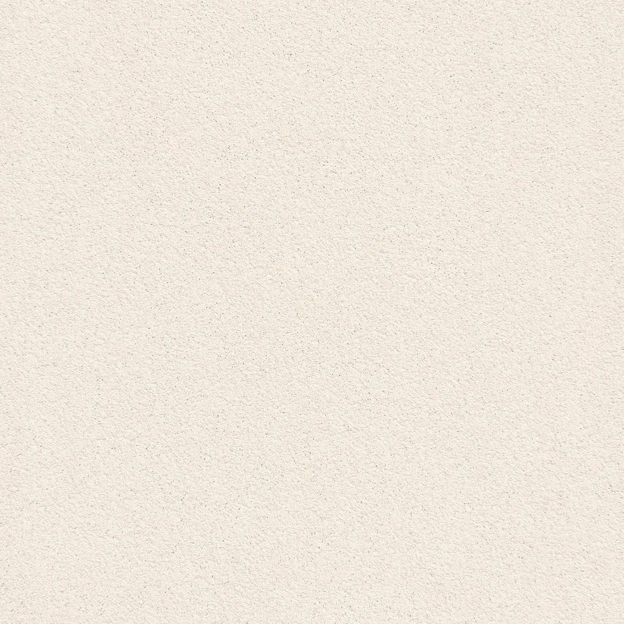 ALCHIMIA SHELL RAW TEXTURE - SIMPOLO-TILES - ( - ALCHIMIA MATT - 1198x1198x9 mm - 48inchX48inchX0.36inch )