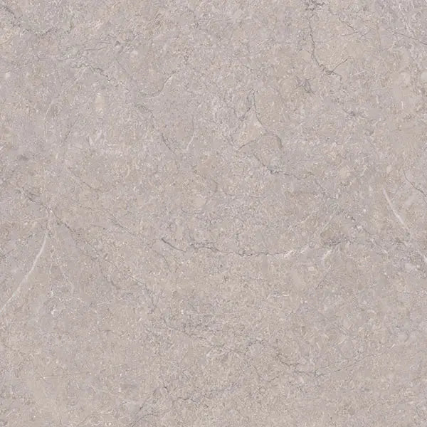 8099 MATT - SIMPOLO-TILES - ( - PROZZO MATT - 600x600x8.5 mm - 24inchX24inchX0.34inch )