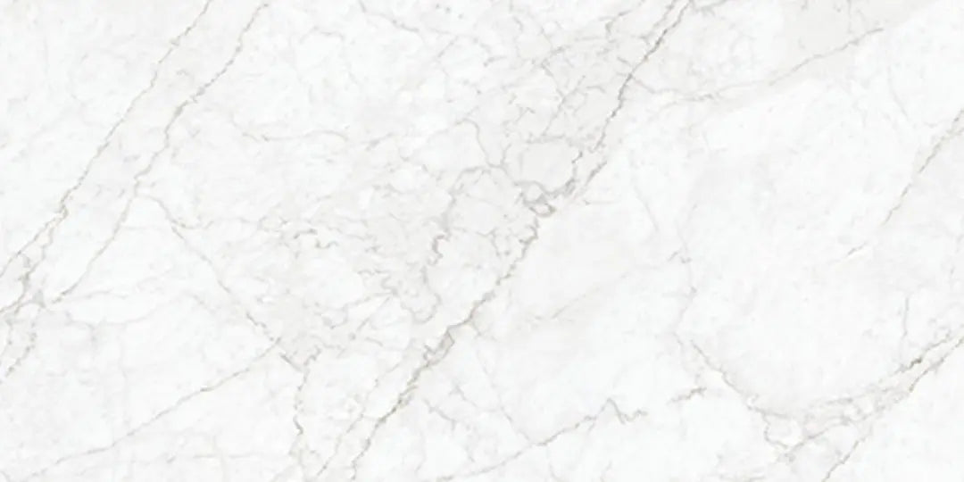3147 FTS MATT - SIMPOLO-TILES - ( - PROZZO REJOICE MATT - 1200x600x8.5 mm - 48inchX24inchX0.34inch )