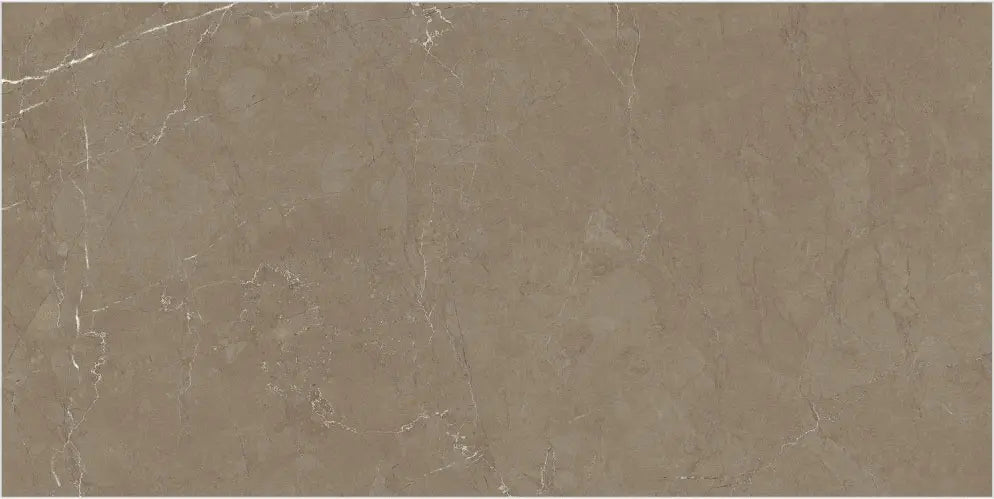 1001 GLOSSY - SIMPOLO-TILES - ( - COMPETITIVE COLLECTION GLOSSY - 1200x600x8.5 mm - 48inchX24inchX0.34inch )