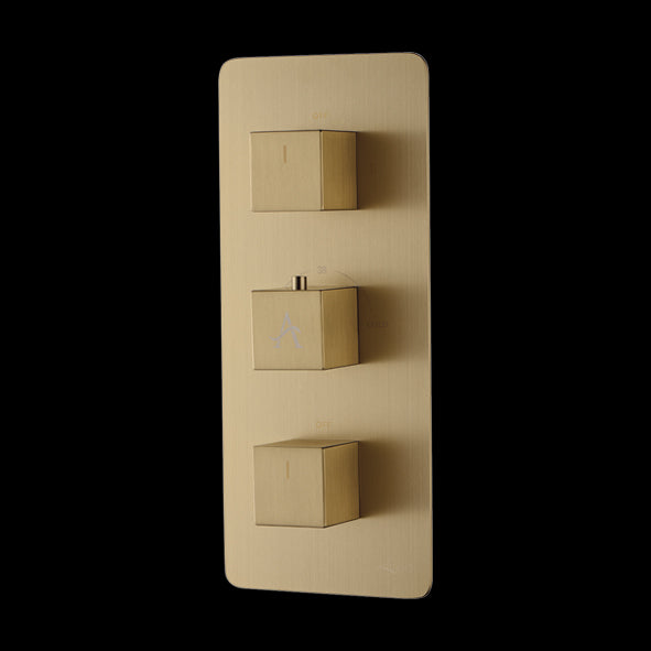 CONC.THERMO DIVTR CNTRL.UNIT. FR 4OUTLET - AQUANT - ( BRUSHED GOLD - - 0x0 mm - 0inchx0inch )
