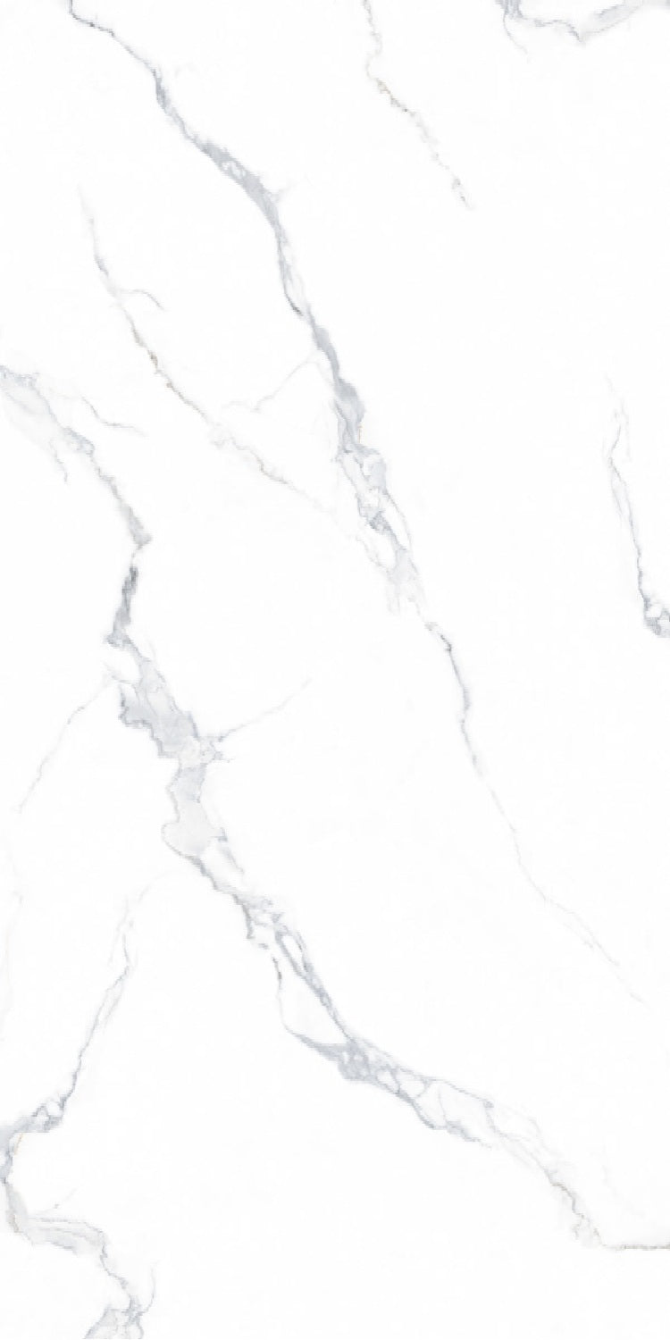 FLOREST WHITE - INDIAN TILES - ( - CRIST MATT BASE - 1200x600 mm - 48inchX24inch)