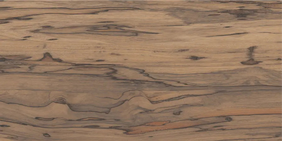 3131 CRV MATT - SIMPOLO-TILES - ( - PROZZO MATT - 1200x600x8.5 mm - 48inchX24inchX0.34inch )