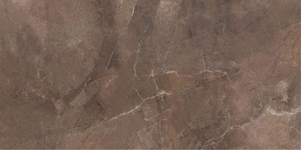 1046 GLOSSY - SIMPOLO-TILES - ( - COMPETITIVE COLLECTION GLOSSY - 1200x600x8.5 mm - 48inchX24inchX0.34inch )