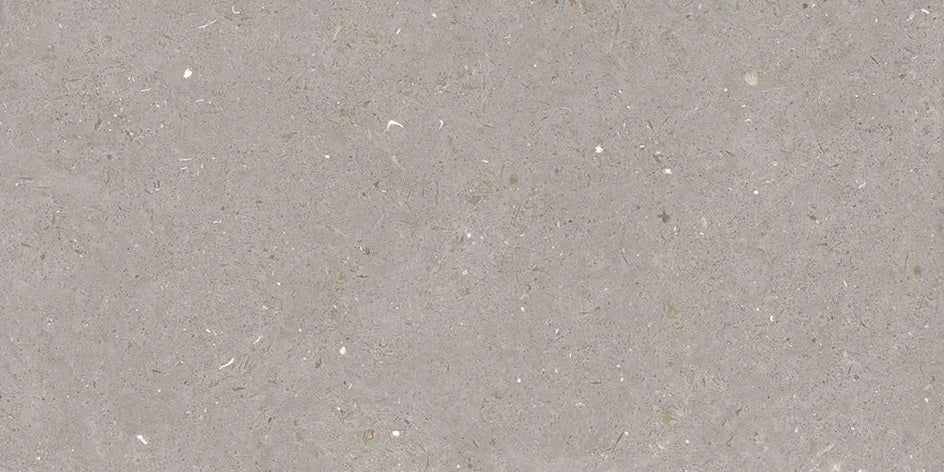 FOSSIL MUD GLOSSY - SIMPOLO-TILES - ( - IMPATTO GLOSSY - 1198x598 mm - 48inchX24inch )