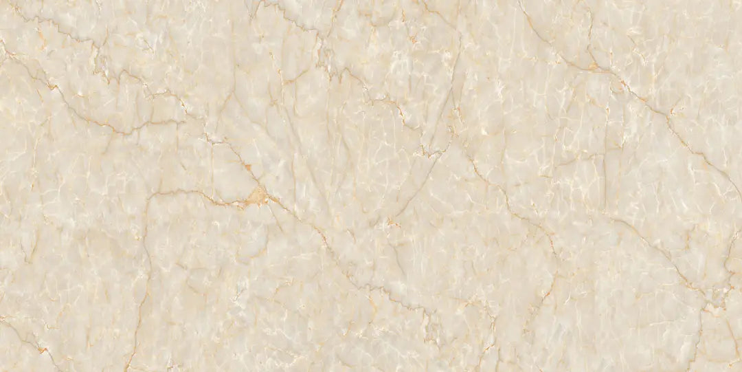 1116 GLOSSY - SIMPOLO-TILES - ( - COMPETITIVE COLLECTION GLOSSY - 1200x600x8.5 mm - 48inchX24inchX0.34inch )