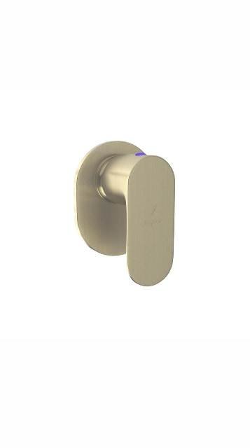EXPOSED PART KIT OF CONCEALED STOP COCK & FLUSH COCK - JAQUAR FAUCETS -  ( GOLD DUST - OPAL PRIME - 0x15 mm - 0inchX0.5inch )