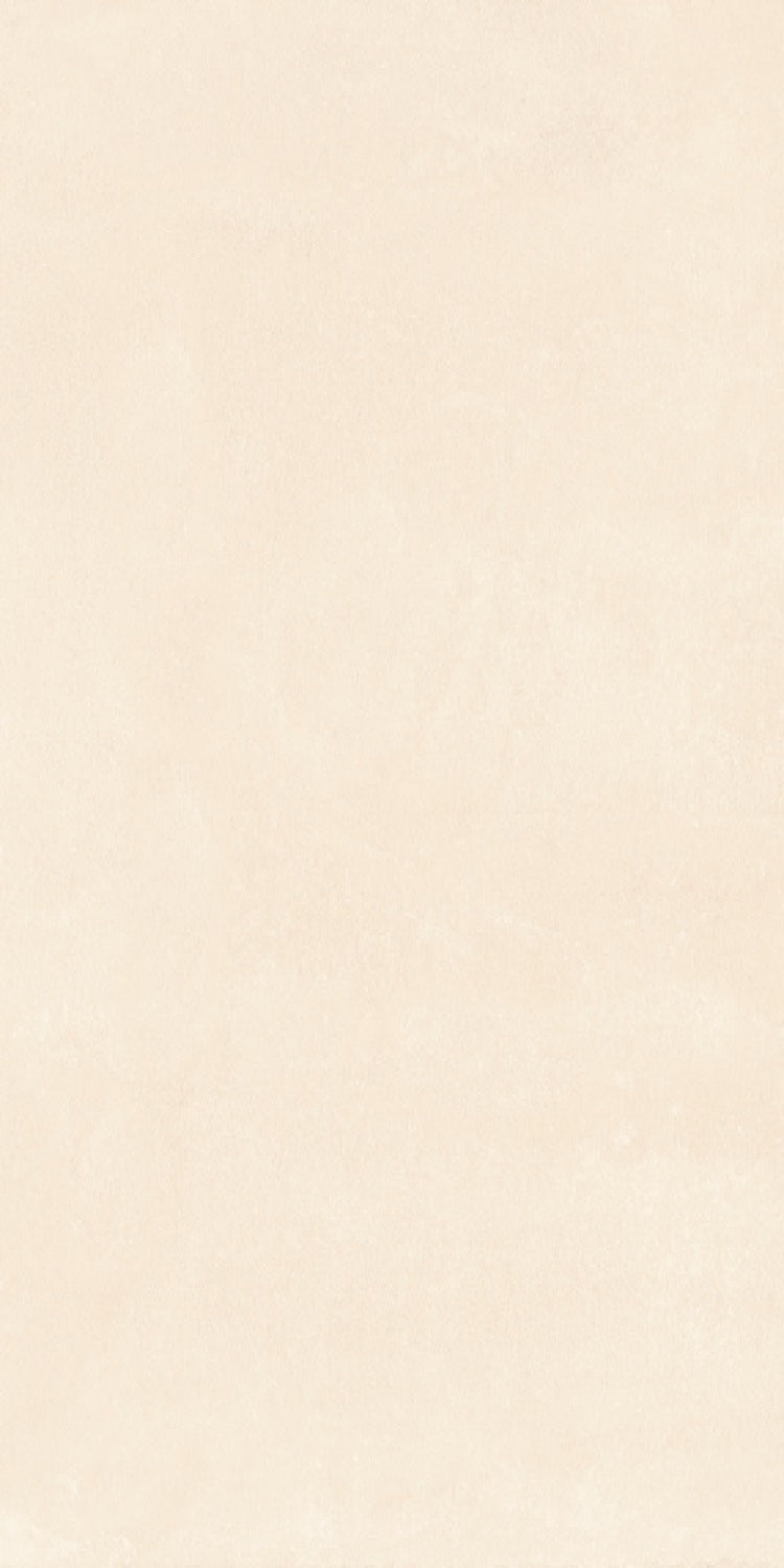 AAJK LIGHT - INDIAN TILES - ( - CRIST MATT BASE - 1200x600 mm - 48inchX24inch)