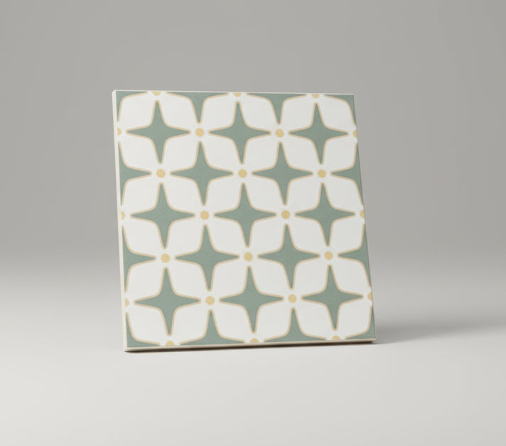 SPF 282 - INDIAN TILES - ( - SCD - 300x300 mm - 12inchX12inch )