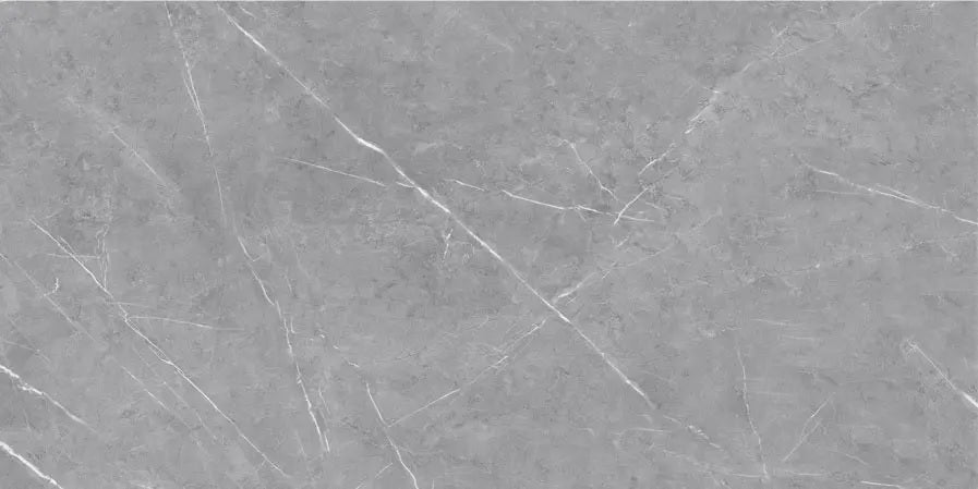 3119 CRV MATT - SIMPOLO-TILES -  (  - PROZZO MATT - 1200x600x8.5 mm - 48inchX24inchX0.34inch )