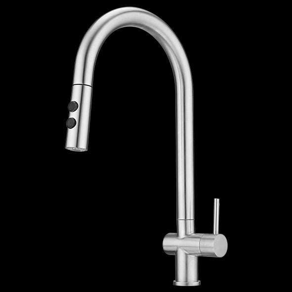 TABLE MOUNTED PULL OUT KITCHEN SINK COCK WITH TWO FLOWS SHOWER AND FOAM - AQUANT - ( MATT SS FINISH - KITCHEN FAUCETS - 0x0 mm - 0inchX0inch )