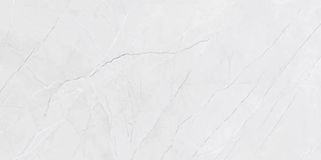 3150 FTS MATT - SIMPOLO-TILES -  (  - PROZZO REJOICE MATT - 1200x600x8.5 mm - 48inchX24inchX0.34inch )