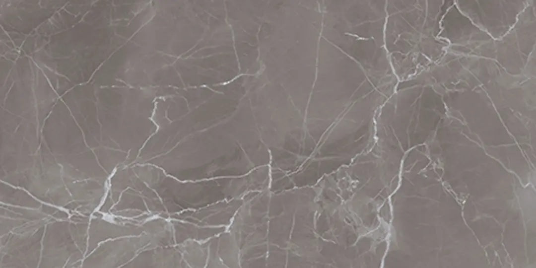 3155 FTS MATT - SIMPOLO-TILES -  (  - PROZZO REJOICE MATT - 1200x600x8.5 mm - 48inchX24inchX0.34inch )