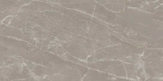 3213 MATT - SIMPOLO-TILES -  (  - PROZZO-MATT - 1200x600 mm - 48inchX24inch )