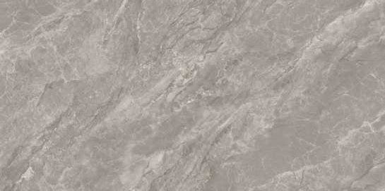 3225 MATT - SIMPOLO-TILES -  (  - PROZZO-MATT - 1200x600 mm - 48inchX24inch )