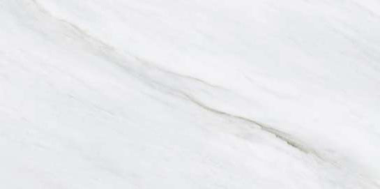 3229 MATT - SIMPOLO-TILES -  (  - PROZZO-MATT - 1200x600 mm - 48inchX24inch )