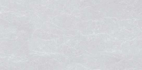 3237 CRV MATT - SIMPOLO-TILES - ( - PROZZO MATT - 1200x600 mm - 48inchX24inch)