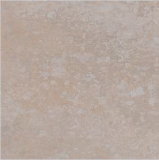FLORA SKID 309 - SIMPOLO-TILES - ( - FLORA SKID MATT - 300x300 mm - 12inchX12inch )