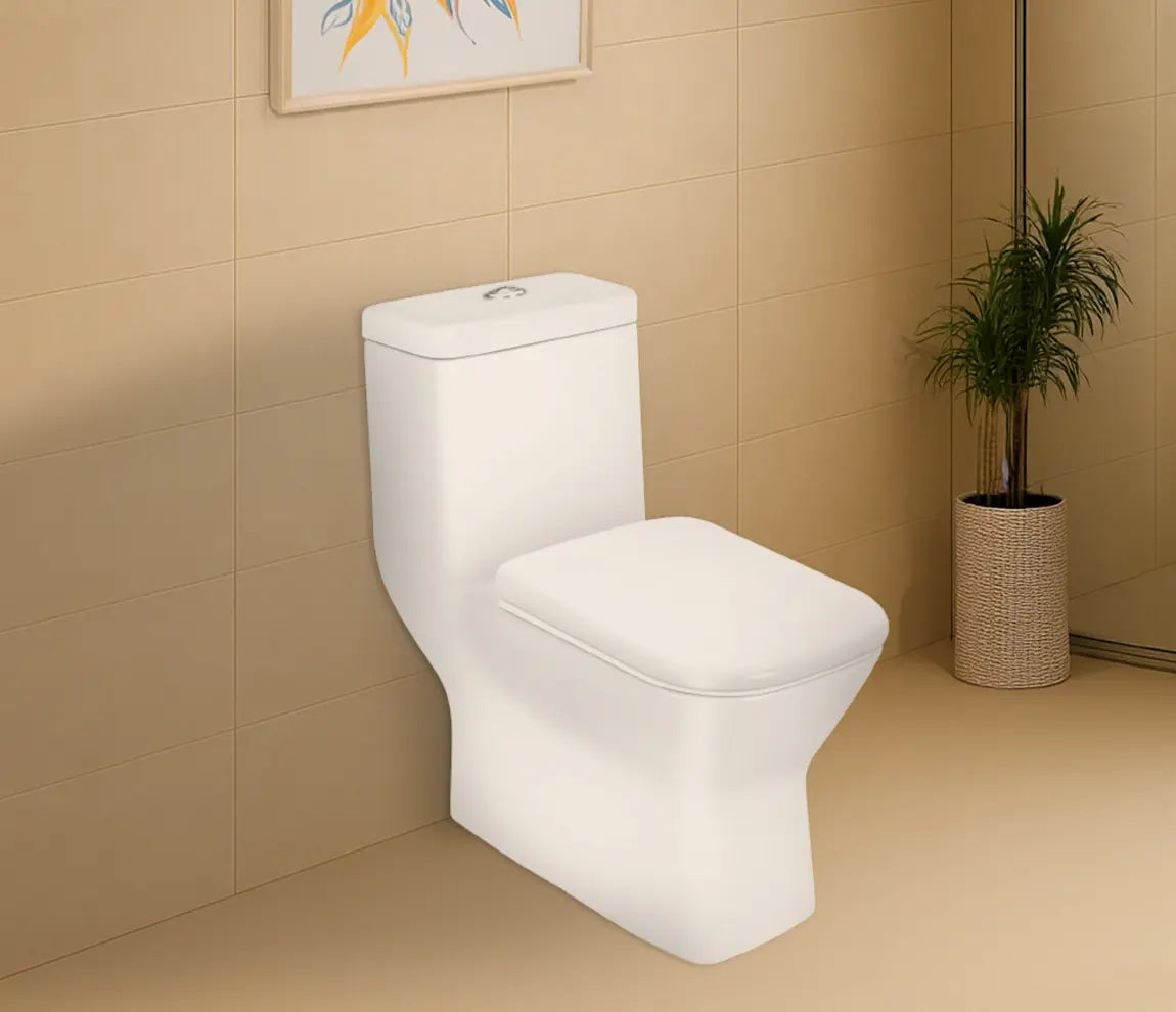 E.W.C ELEMENT ONE-PIECE S-TRAP 220MM - HINDWARE - ( STAR WHITE - ITALIAN - 0x0 mm - 0inchx0inch )