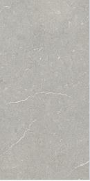 ROYAL VONN GRIS PUNCH - CREANZA - ( - PUNCH - 1200x600 mm - 48inchX24inch )