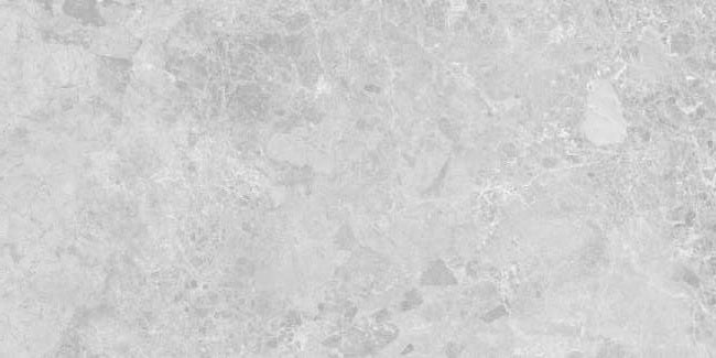 INCREDIC SILVER - COLORTILE -  (  - PGVT - 1200x600 mm - 48inchX24inch )