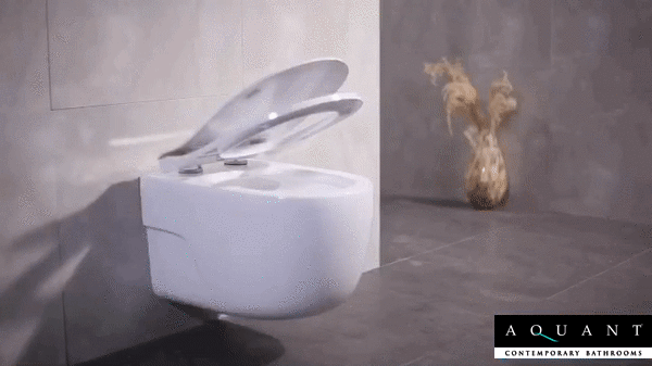 WALL HUNG WC WITH SOFT CLOSE UF SLIM SEAT COVER - AQUANT -  ( WHITE -  - 510x420x370 mm - 20.4inchX16.8inchX14.8inch )