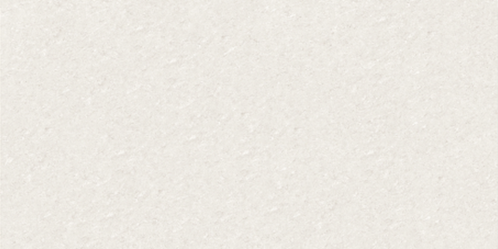 CENTURY WHITE (DOUBLE CHARGE) - INDIAN TILES - ( - - 1200x600 mm - 48inchX24inch )