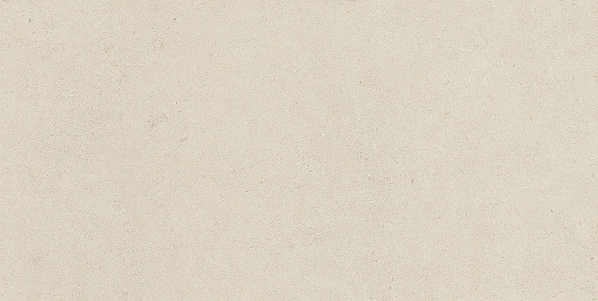 ALPI ARGENTO THICKNESS 9MM - NEXION - ( - LITHIC - 1198x1198x mm - 48inchX48inchX0.36inch )